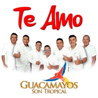 Te Amo