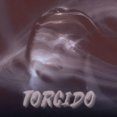 Listen to TORCIDO - Single by FHNX, 808Donkey & GEWOONRAVES