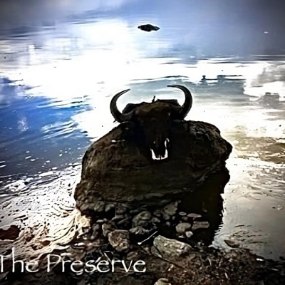 The Preserve (feat. Kvveesha) - Single