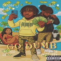 Go Dumb (feat. RyloDaMac) - Single - BigLeek