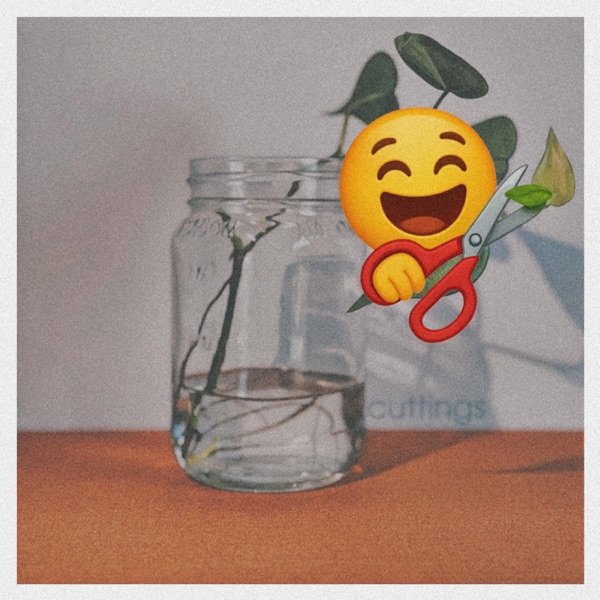 (Happy) cuttings