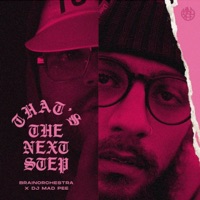 That's The Next Step - Single - Dj Mad Pee & Brainorchestra