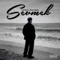 Sevmek