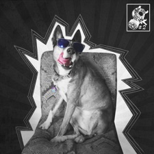 We Used to Cut the Grass - Shep's Encounter