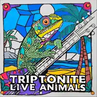 Long Way Home — Triptonite