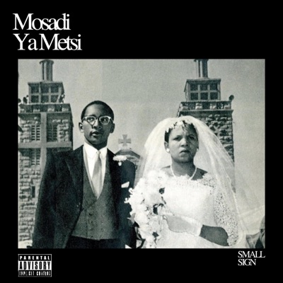 Mosadi Ya Metsi - Single