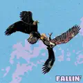 Fallin