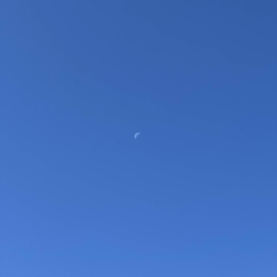 Mind ya business (Demos) - EP