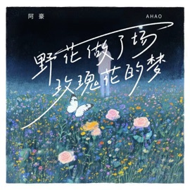 野花做了场玫瑰花的梦 (DJ九零版) 阿豪
