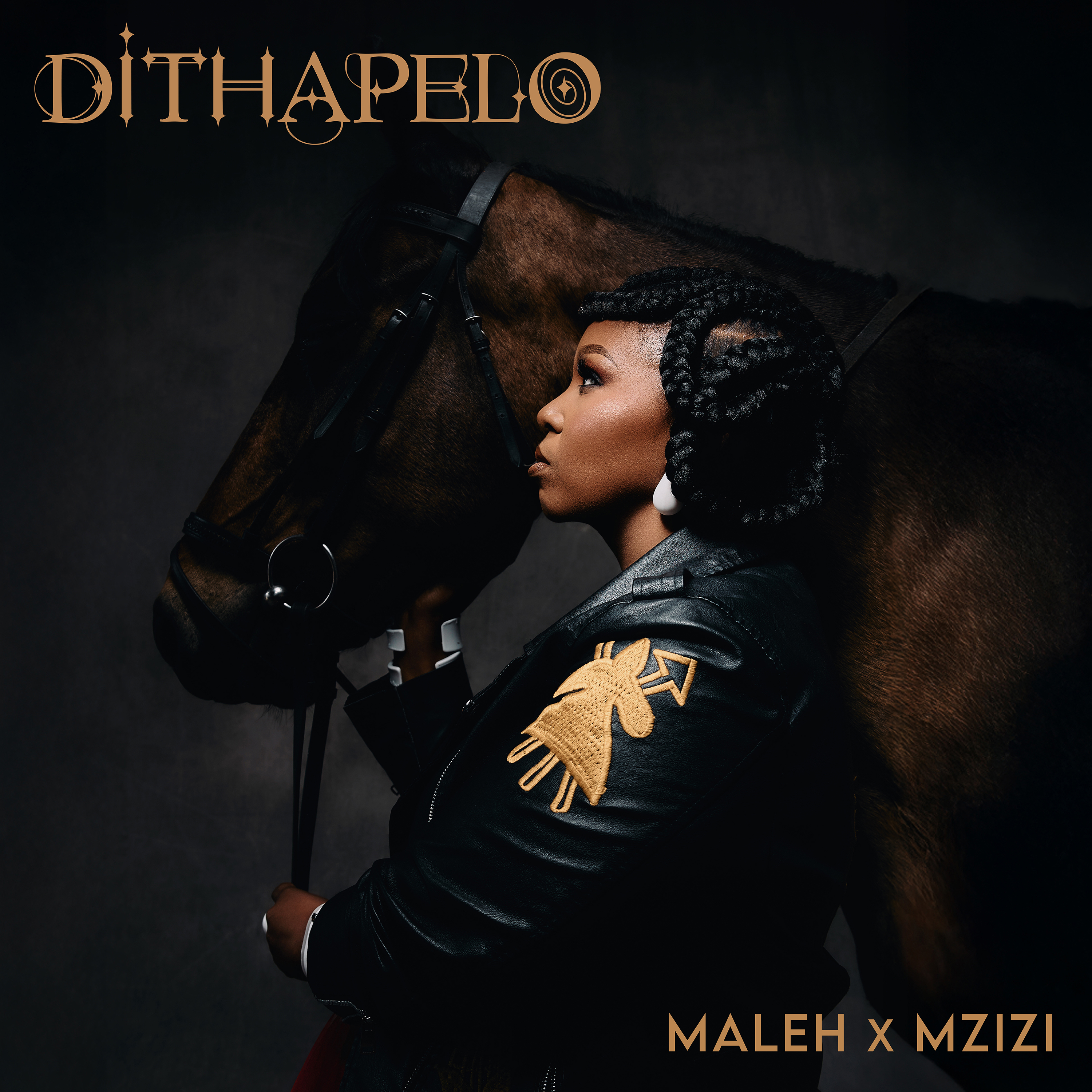 Dithapelo - Single