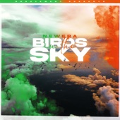 Birds In The Sky (Ryan Ennis Remix) artwork