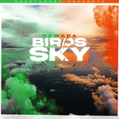 Birds In The Sky (Ryan Ennis Remix) - NewEra Cover Art