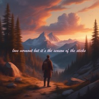 love vermont but it's stick season - Single - SadSky