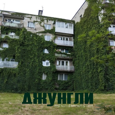 ДЖУНГЛИ - Single