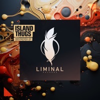 Destroyer - EP - Island Thugs