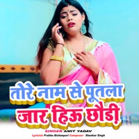 Tore Nam Se Putla Heau Choudri - Single - Amit Yadav