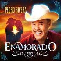 Enamorado - Single - Pedro Rivera