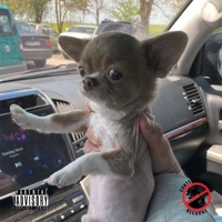 Dope Boy Magic - Single - Doddy Gatz, DJ Goth & Tacet