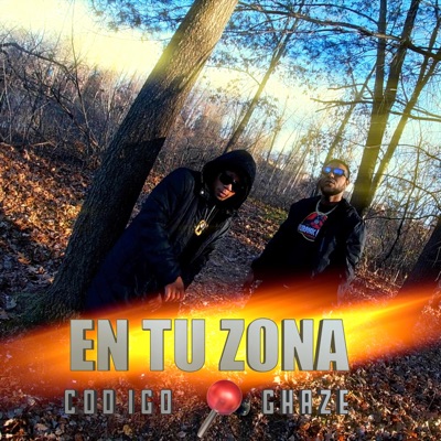 EN TU ZONA (feat. Codigo) - Single