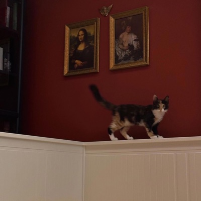 can't stand that look in your eyes - Single