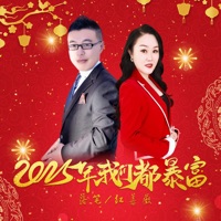 2025年我们都暴富 (DJ对唱版) - Single - 红蔷薇 & Write down a pen