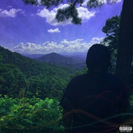 Trust Issues Acidtrip