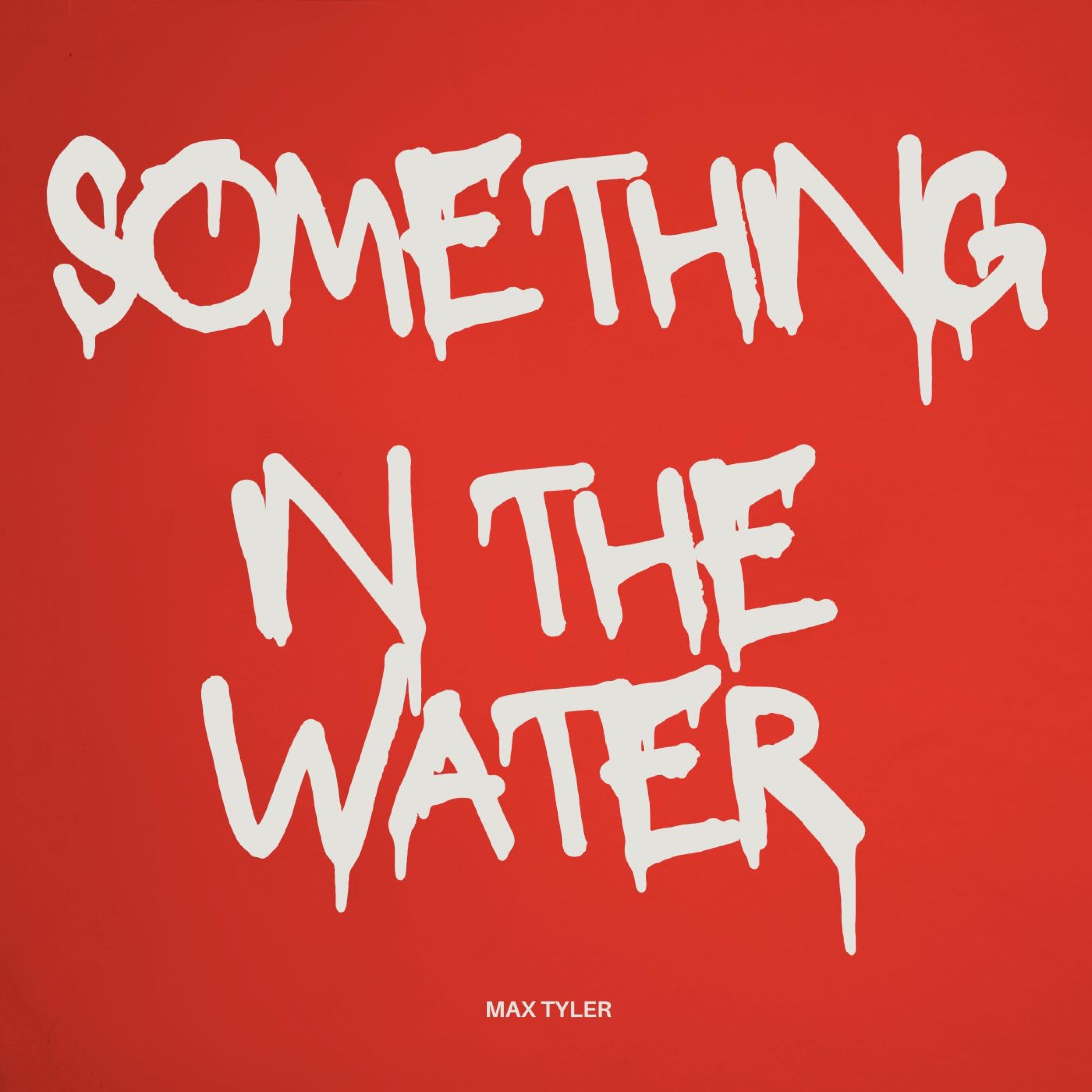 Something In The Water - Single