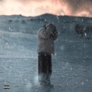 Snowfall