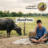 เจ็บแล้วทน