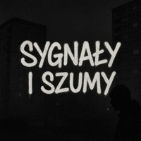 SYGNAŁY I SZUMY - EP - the_vadi