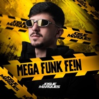 Mega Fein - Single - DJ JOSUE MARQUES