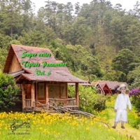 Ulpiano Vergara - Senderito de amor