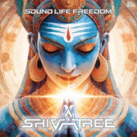 Sound Life Freedom - Single - Shivatree