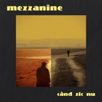 Cand Zic Nu