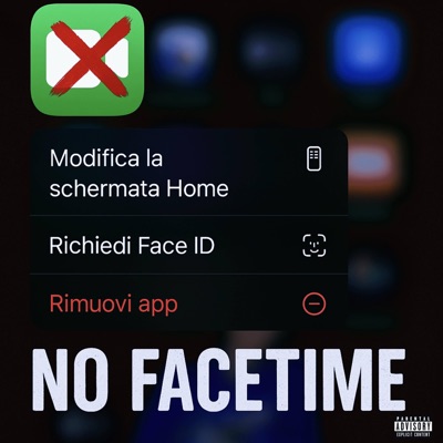 NO FACETIME - Single
