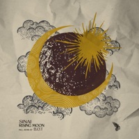 Epic Moment (B.o.T Remix) - Single - Sinai & BOT