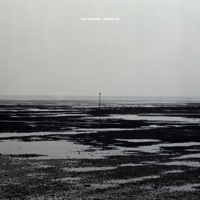 Indicates Void - Bass Communion