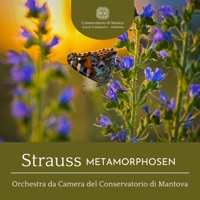 Strauss: Metamorphosen, TrV 290 (Study for 23 String Instruments) - EP - Domenico Tondo & Orchestra da Camera del Conservatorio di Mantova