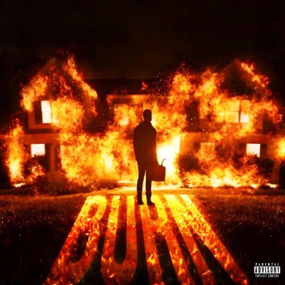 Burn (feat. bukka) [Remix] - Single