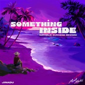 Something Inside (Nathalie Duchene Rework) artwork