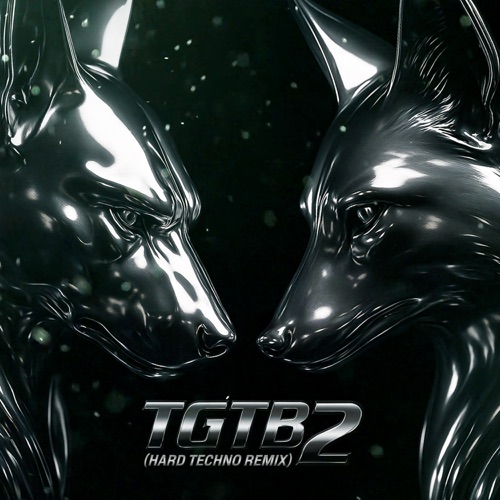 TGTB2 (Hard Techno Remix) - Single