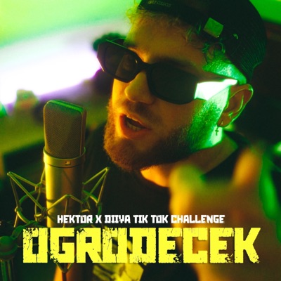 W moim ogrodecku (T challabeatz Remix) - Single