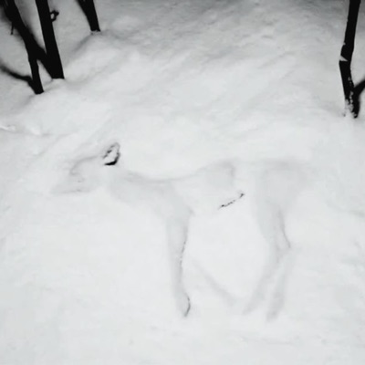 winter - Single