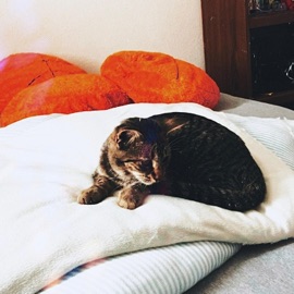 Why Won't You Stay? mix