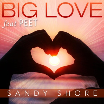 Big Love (Mavericks Mix) - Single