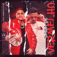 Dama de Vermelho - Single - Kotim, Amorim Mc & D-Hit