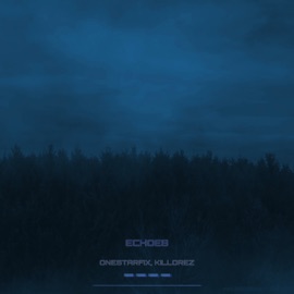 echoes onestarfix & KILLOREZ