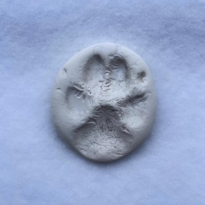 Love That Dog - Single