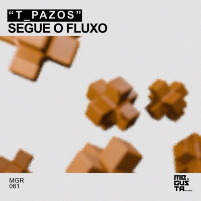 Segue o Fluxo - Single