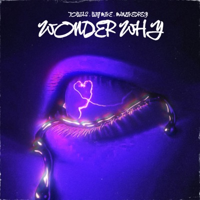Wonder Why (feat. Big Mike & Manlikedrey) - Single